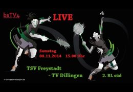 Aufzeichnung: LIVE - 2 BL süd TSV Freystadt – TV Dillingen Heim Samstag, 08.11.2014 15:00 Uhr