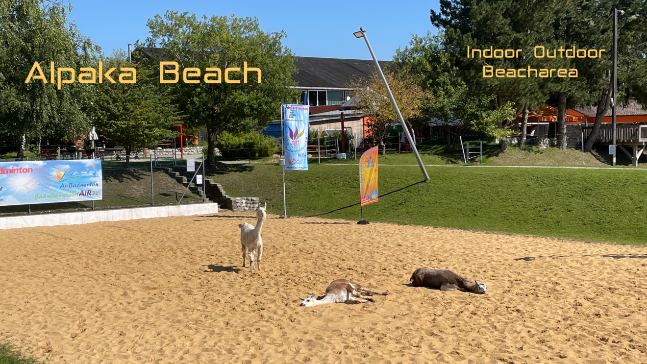 AirBadminton Event – Alpaka-Beach [Bezirk Oberbayern]