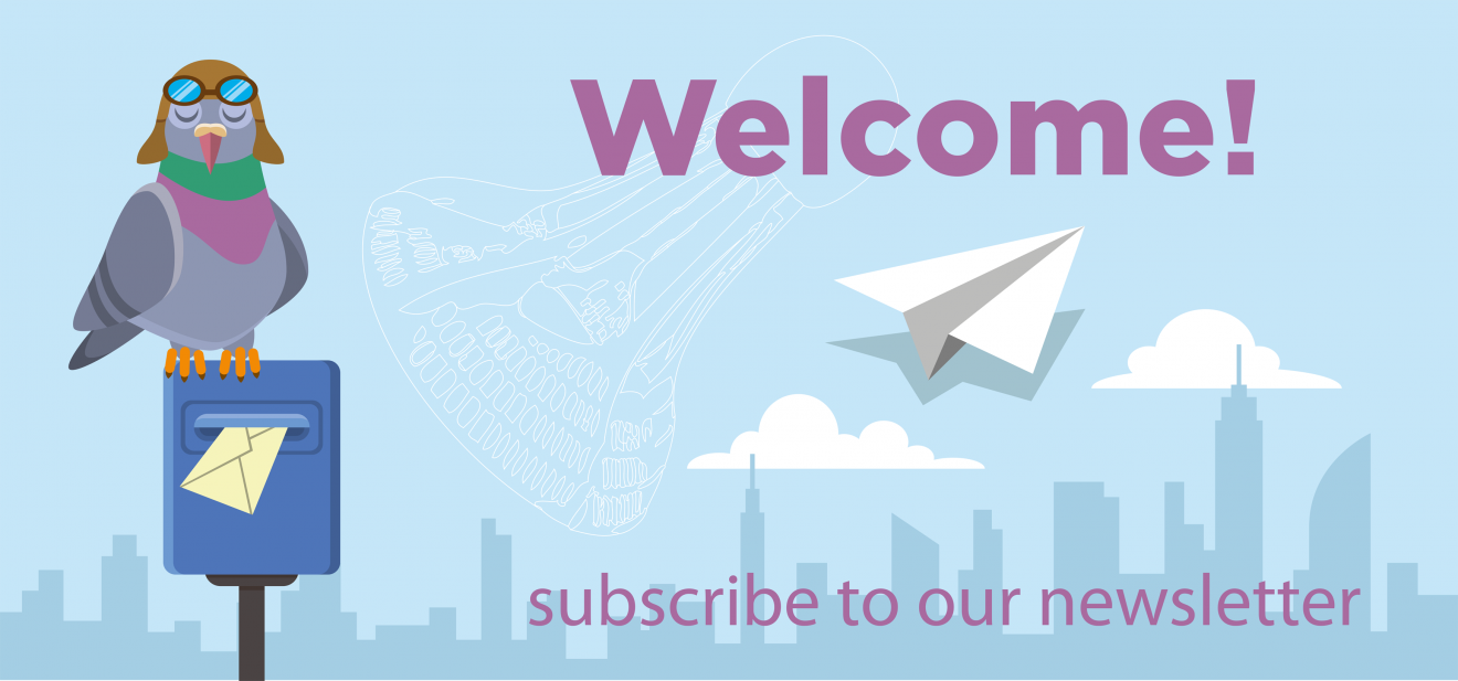 ABO: Welcome Newsletter racketmotion